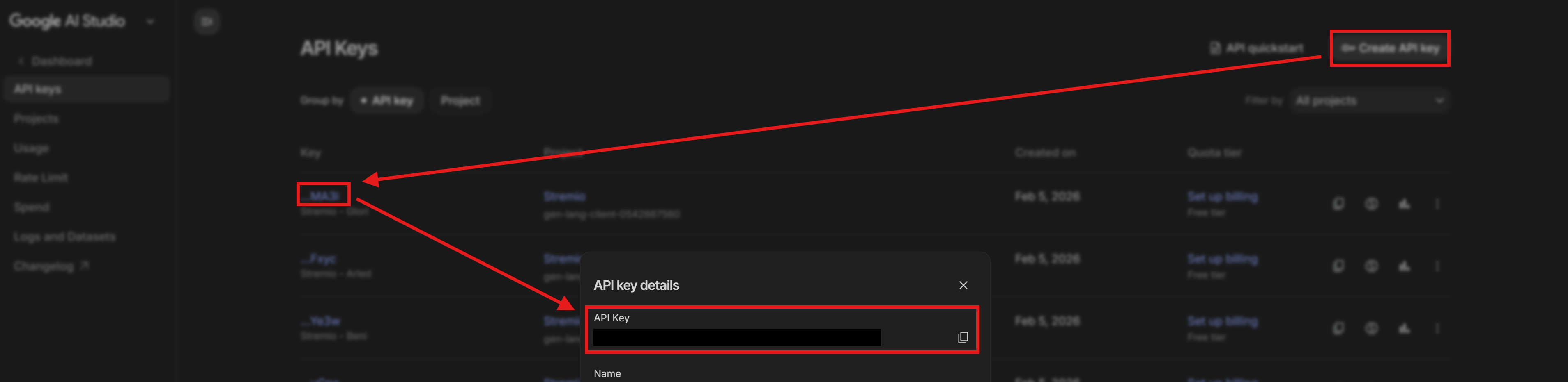 Gemini API Key